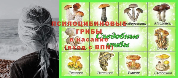 дживик Алексеевка