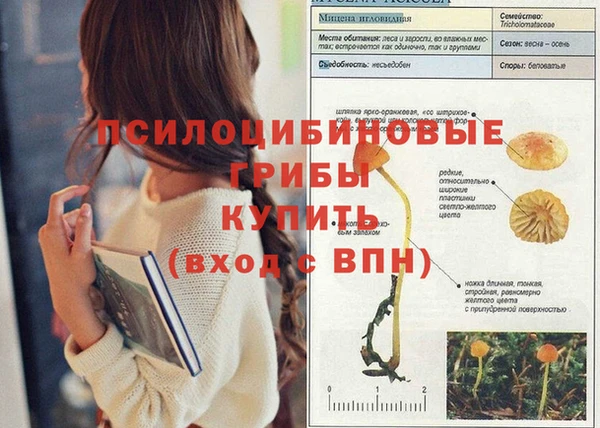 дживик Алексеевка