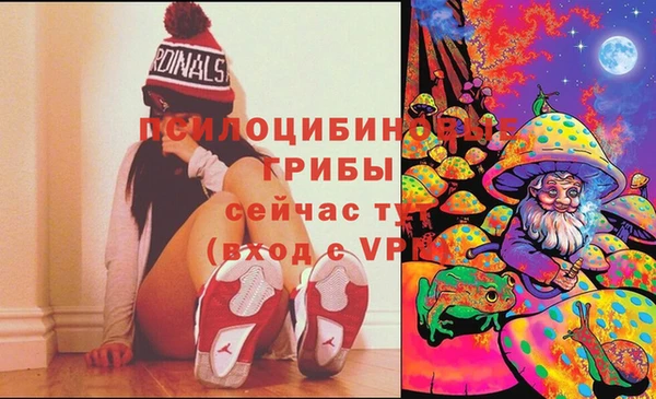 дживик Алексеевка