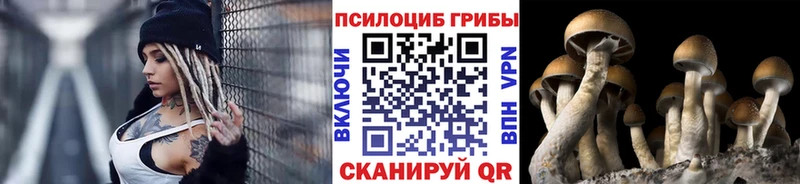 Галлюциногенные грибы Psilocybine cubensis  blacksprut как зайти  Березники  цена  
